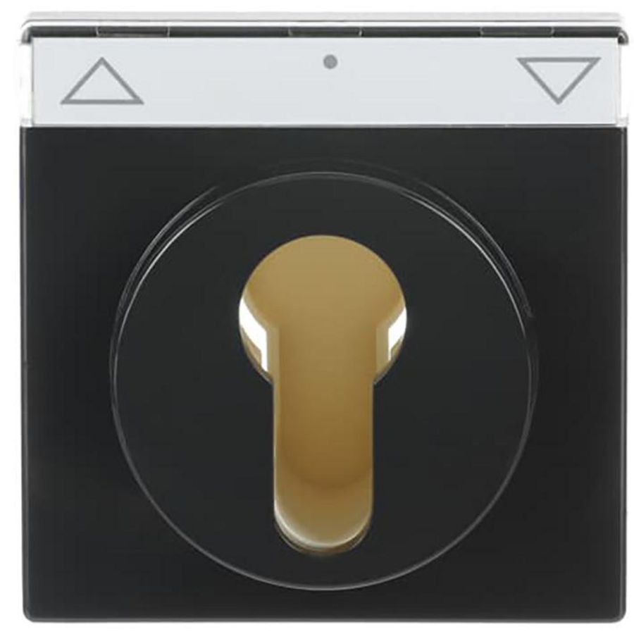 Centraalplaat inb 2733 USL-101 sokkel f-antraciet (1755 SL/PZ-81-101)