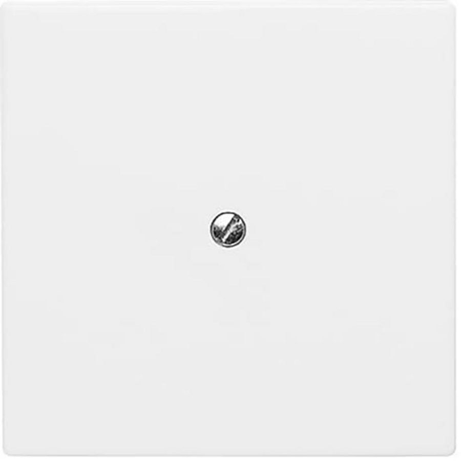 Centraalplaat blinde inb draag met draagraam IP44 A-w alpin