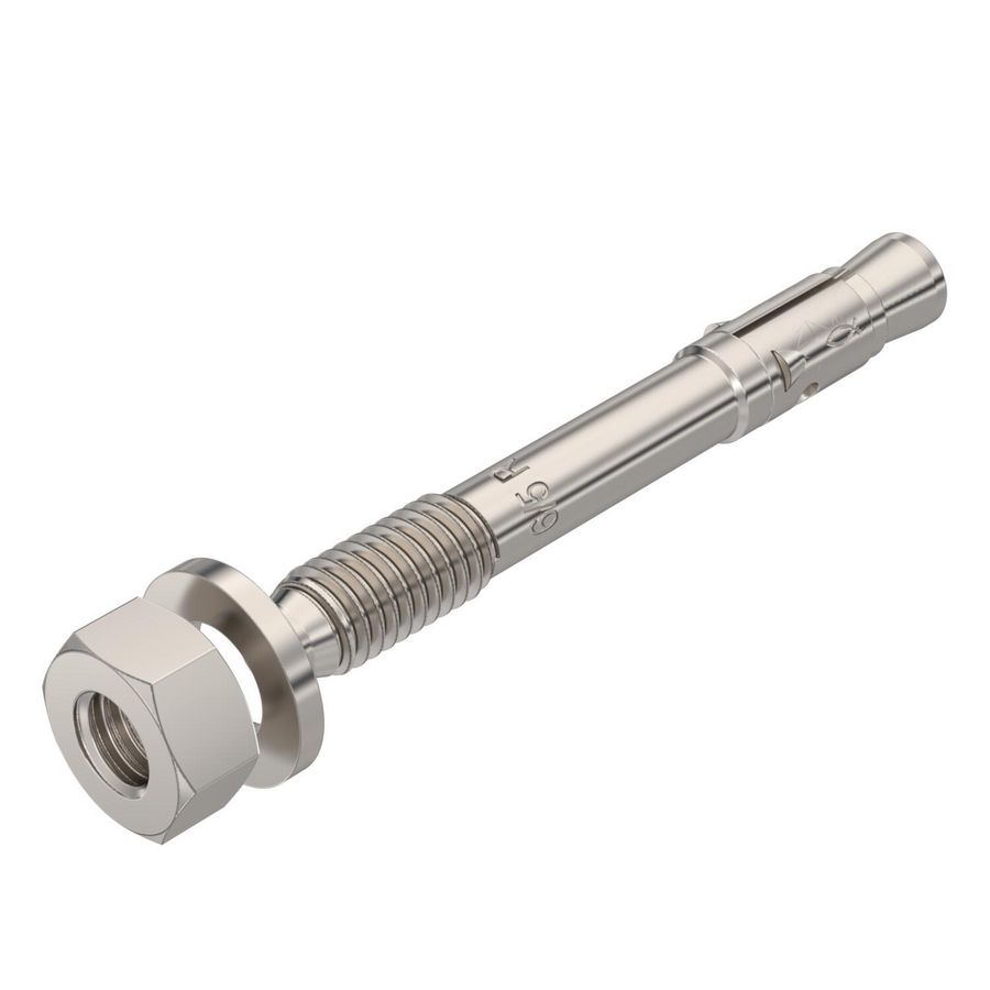 Nagelanker met draad M6 6x50 RVS