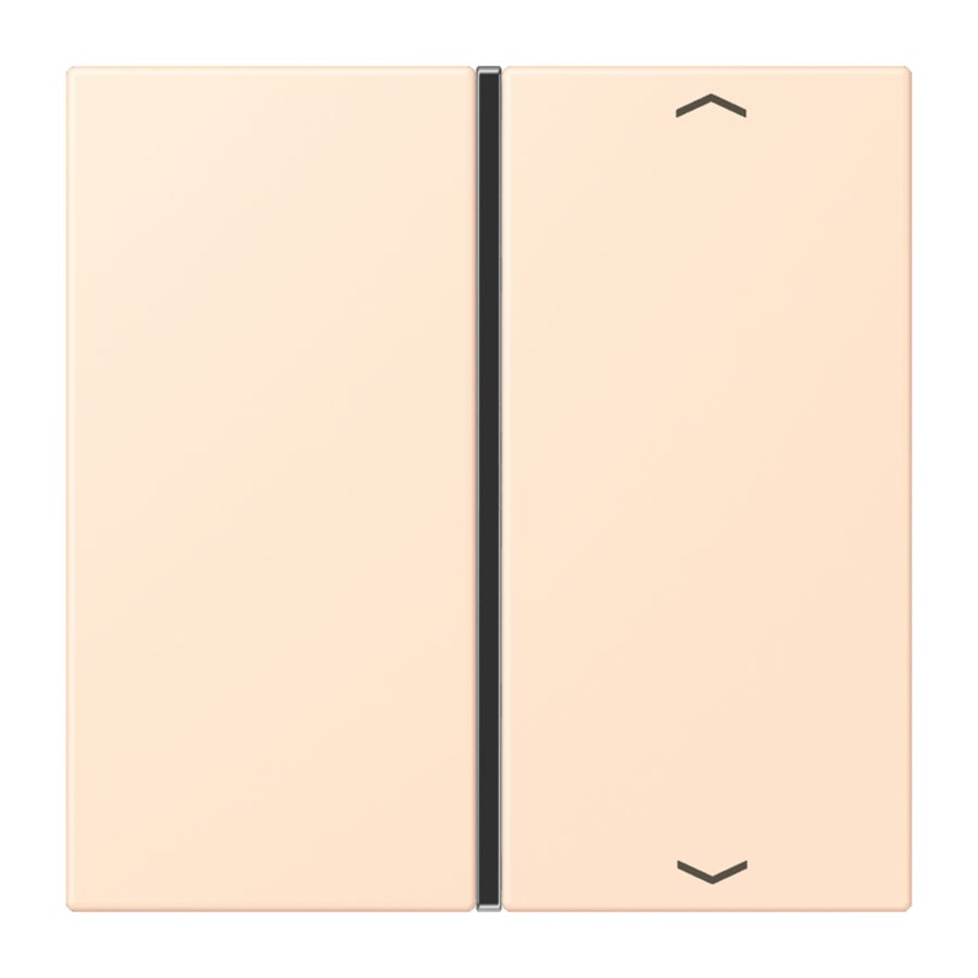 Tastafdekking F40 1-voudig compleetpijl LC32123 KNX