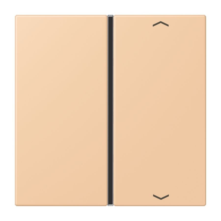 Tastafdekking F40 1-voudig compleetpijl LC32122 KNX