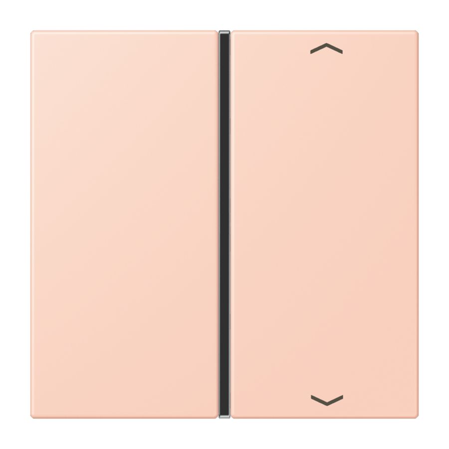 Tastafdekking F40 1-voudig compleetpijl LC32112 KNX