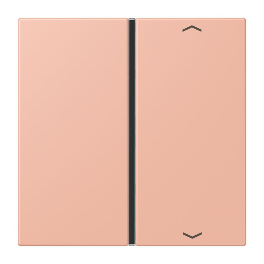 Tastafdekking F40 1-voudig compleetpijl LC32102 KNX