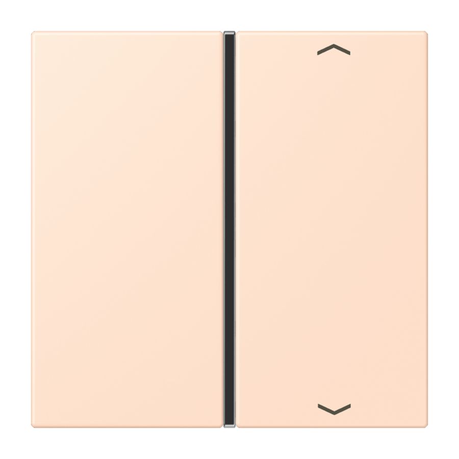 Tastafdekking F40 1-voudig compleetpijl LC32091 KNX
