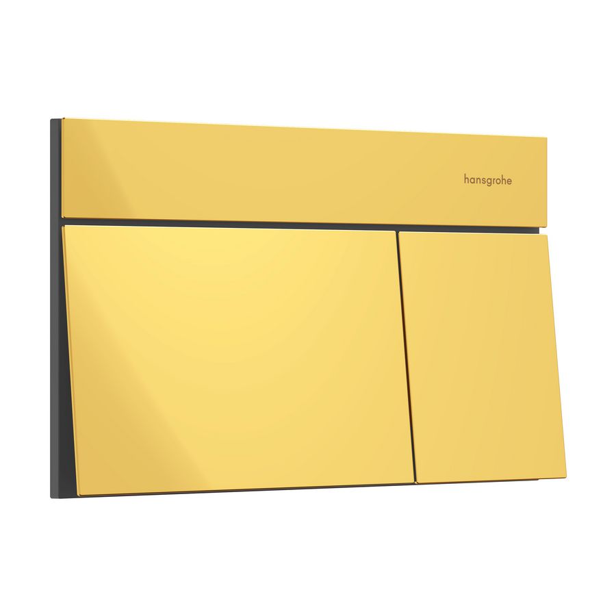 Drukplaat iFrame Element E dual flush Polished Gold-Optic