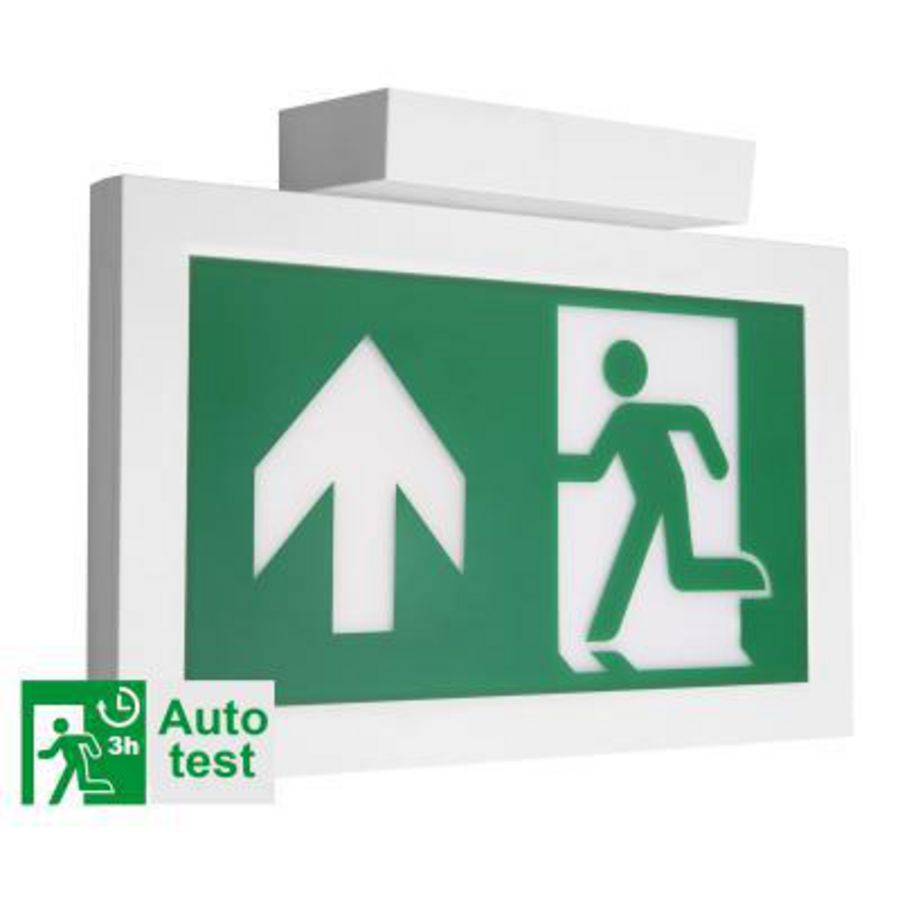 TEMPUS NOOD PLAFOND AUTOT