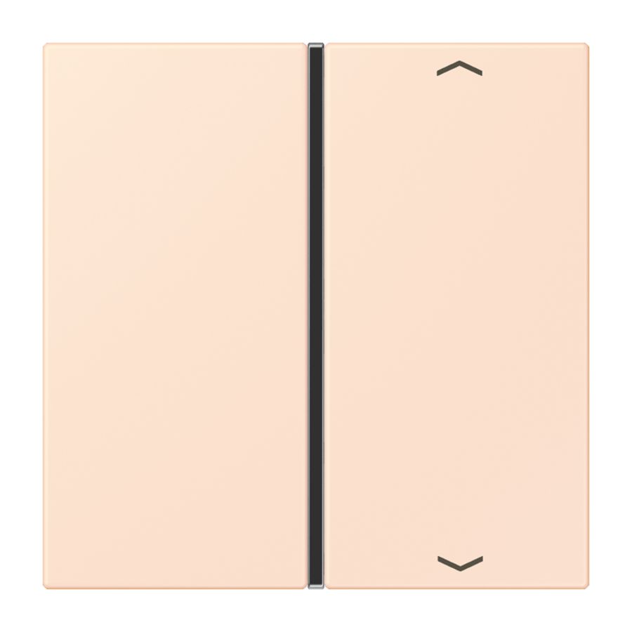 Tastafdekking F40 1-voudig compleetpijl LC32082 KNX