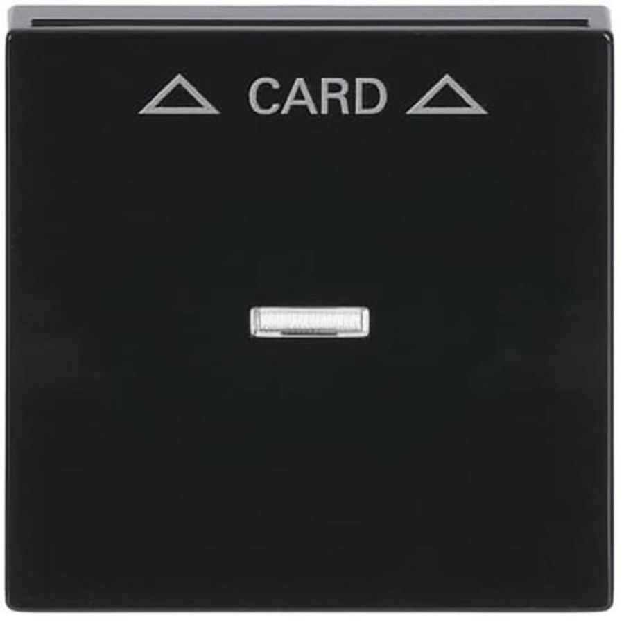 Centraalplaat afdekking v card-Schakelaar f-antraciet (1792-81)