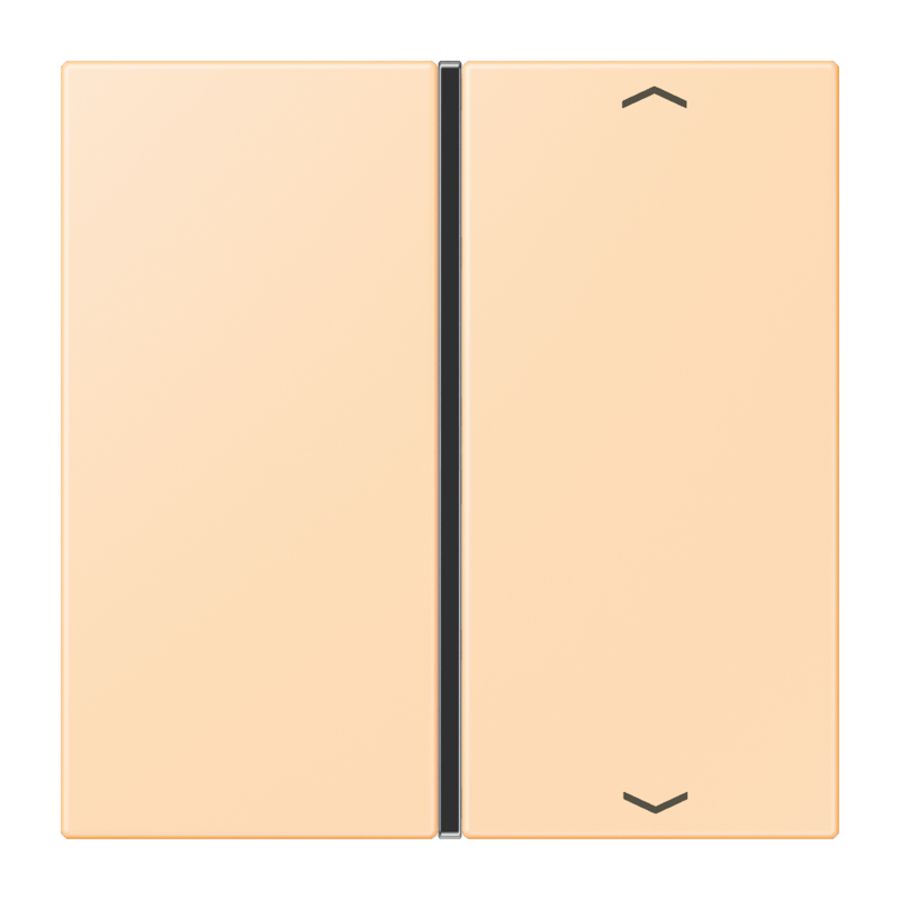 Tastafdekking F40 1-voudig compleetpijl LC32060 KNX