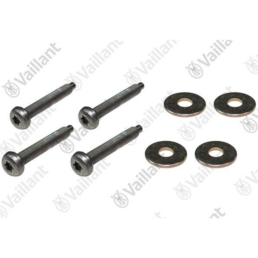 Set a 4st. Schroef M5x30 + ring 0020175813