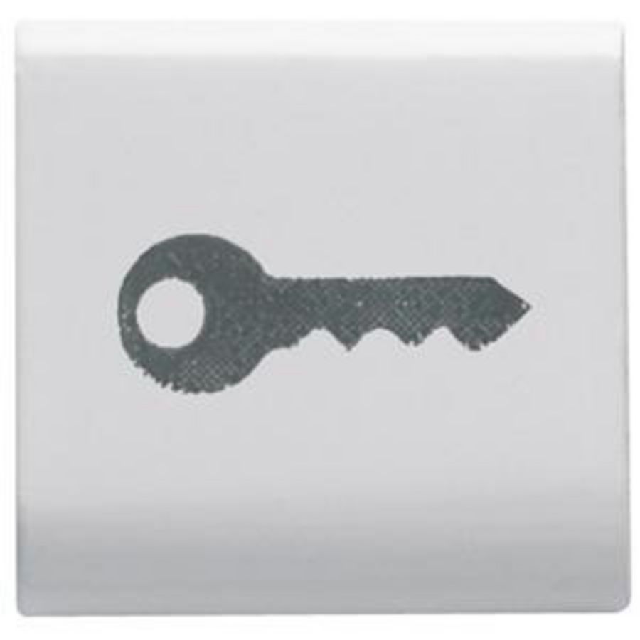 INTERCHANGEABLE BUTTON KEY-22X22mm-KEY-SATIN WHITE-C VVE=4