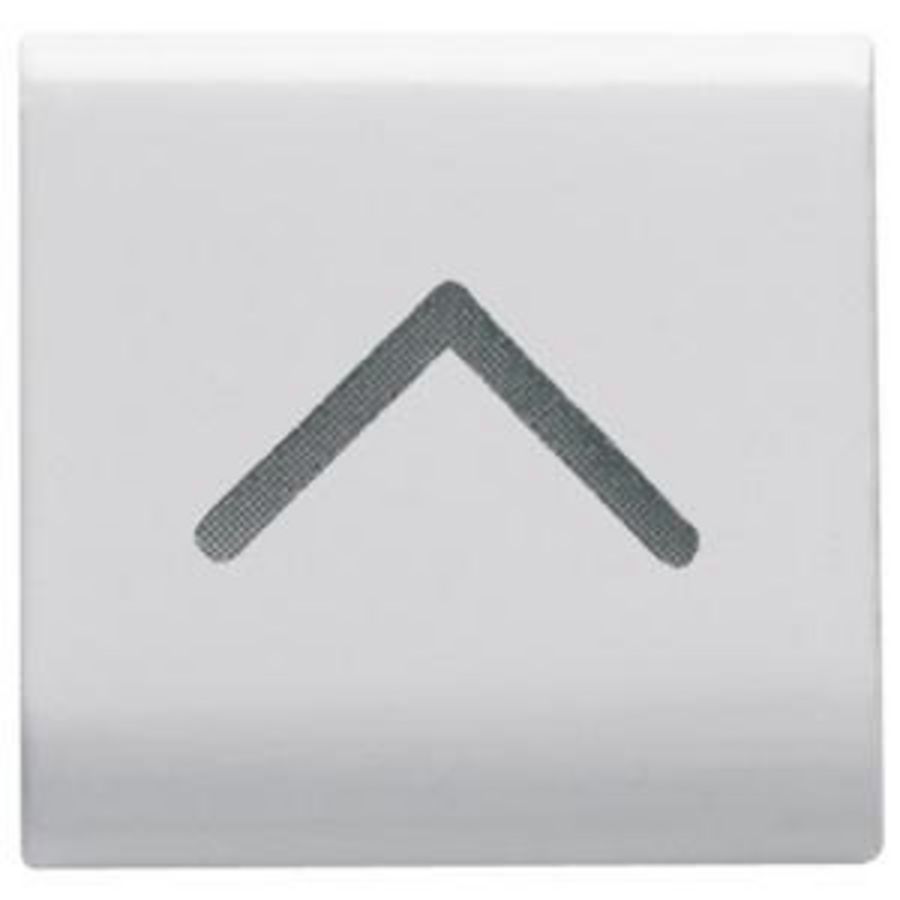 INTERCHANGEABLE BUTTON KEY-22X22mm-VERTICAL ARROW-SATI VVE=4