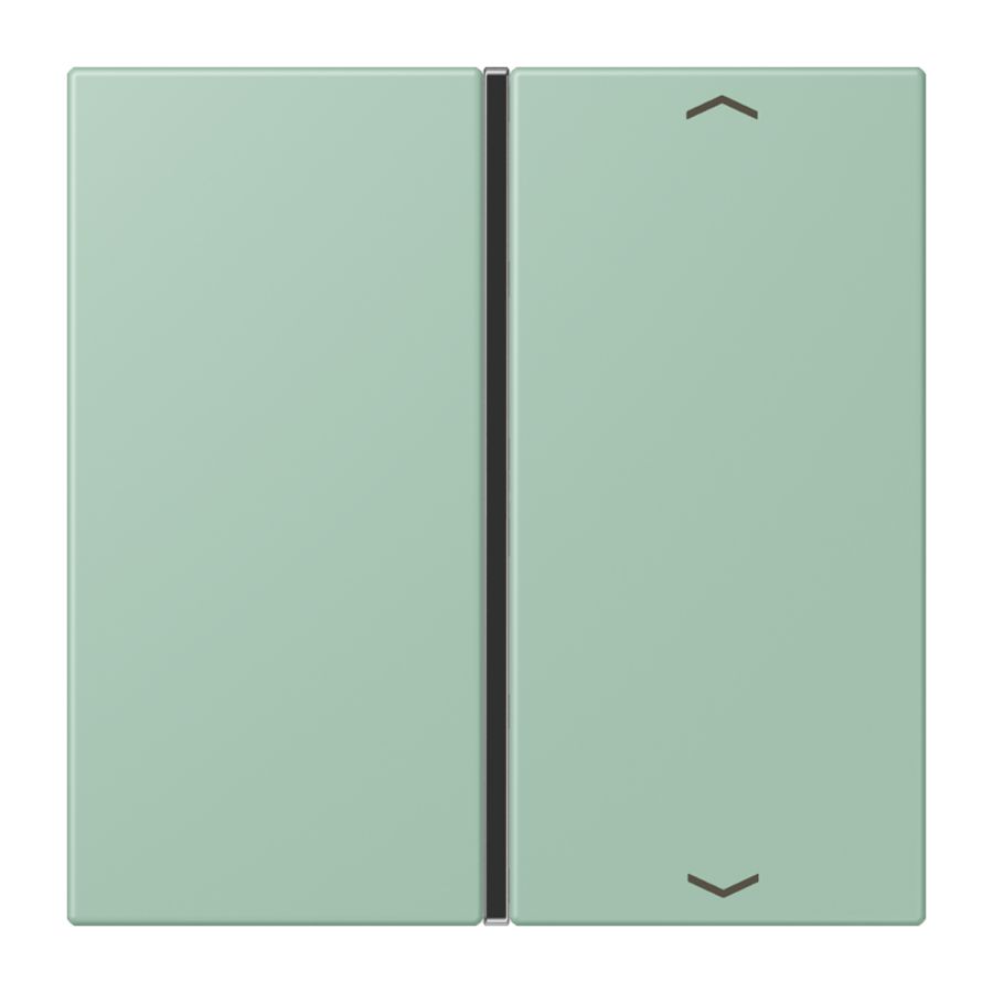 Tastafdekking F40 1-voudig compleetpijl LC32041 KNX
