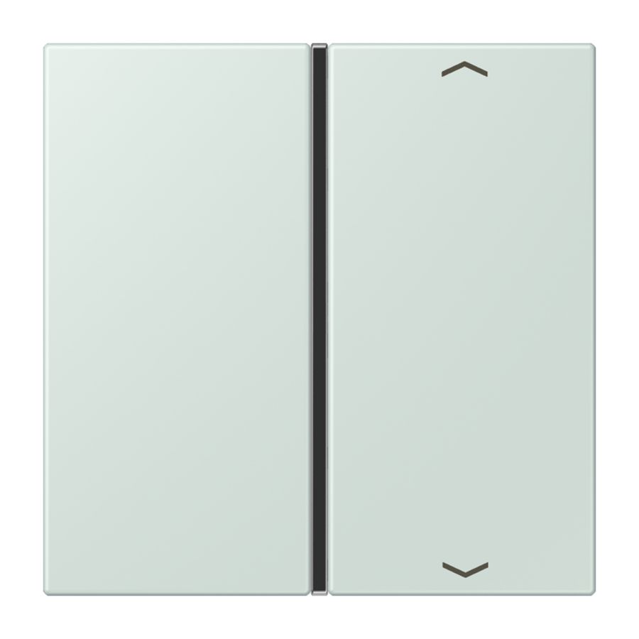 Tastafdekking F40 1-voudig compleetpijl LC32034 KNX