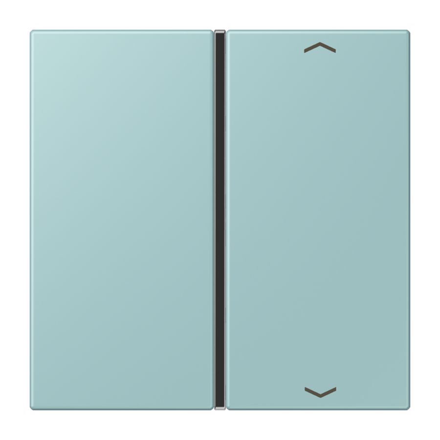 Tastafdekking F40 1-voudig compleetpijl LC32033 KNX