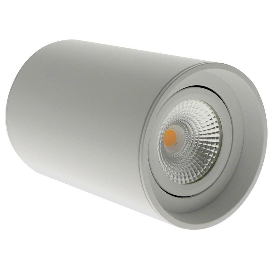 ED-10064 Surface-Mounted Spot Fixture Round White