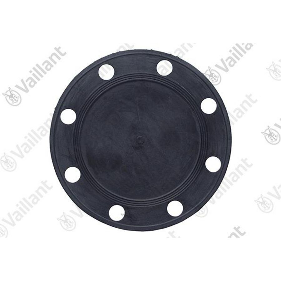 Flensdichting 0020107799