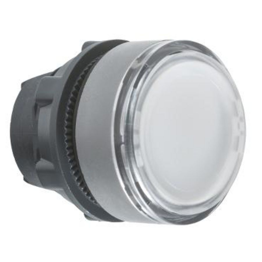 DOUBLE ILL. PUSHBUTTON HEAD