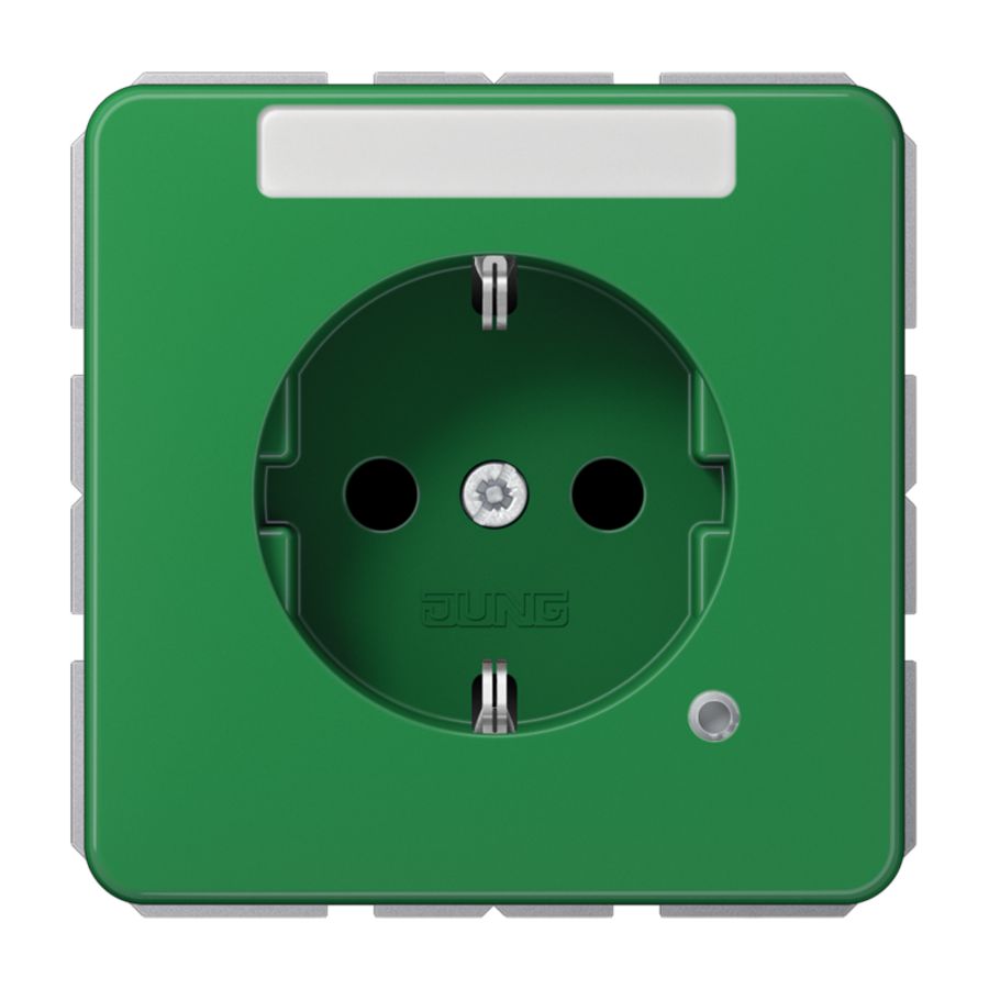 Wandcontactdoos groen m.R/A tekstvast&glimlamp CD500