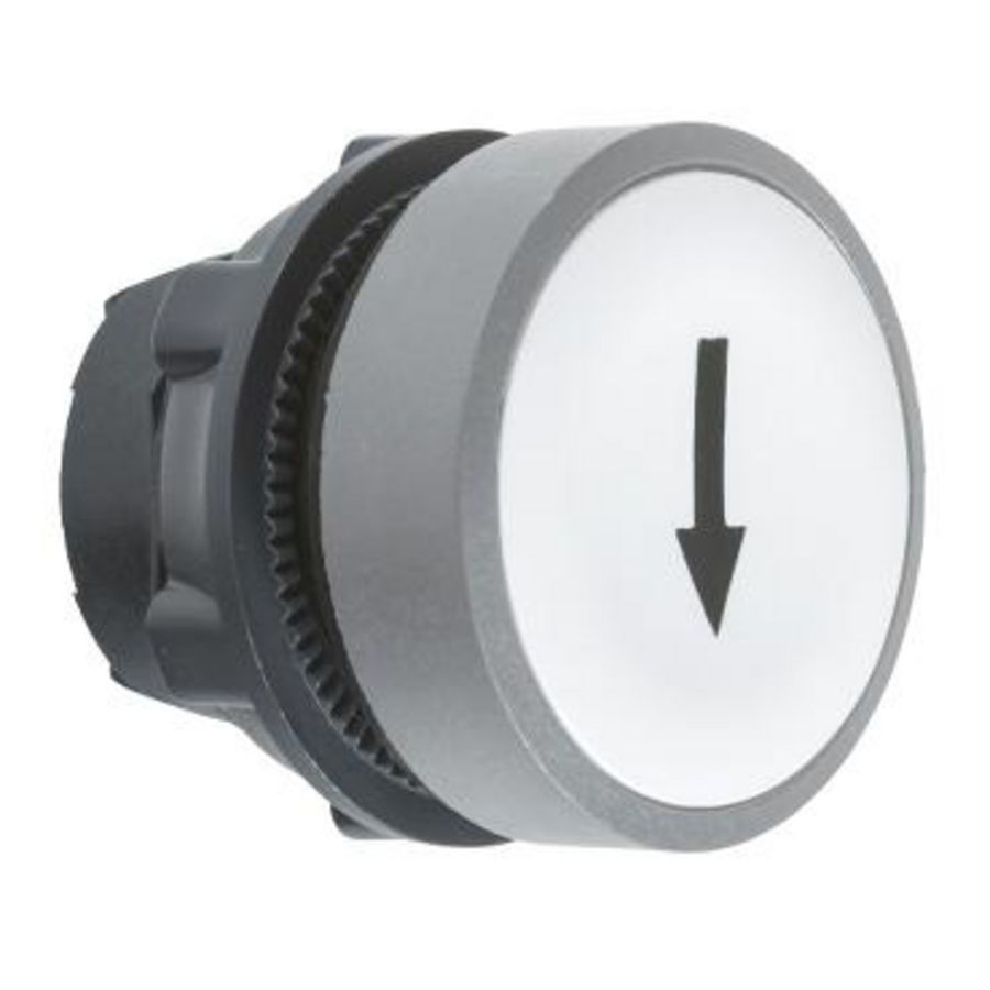 white flush pushbutton head black markedARROW" cp grey