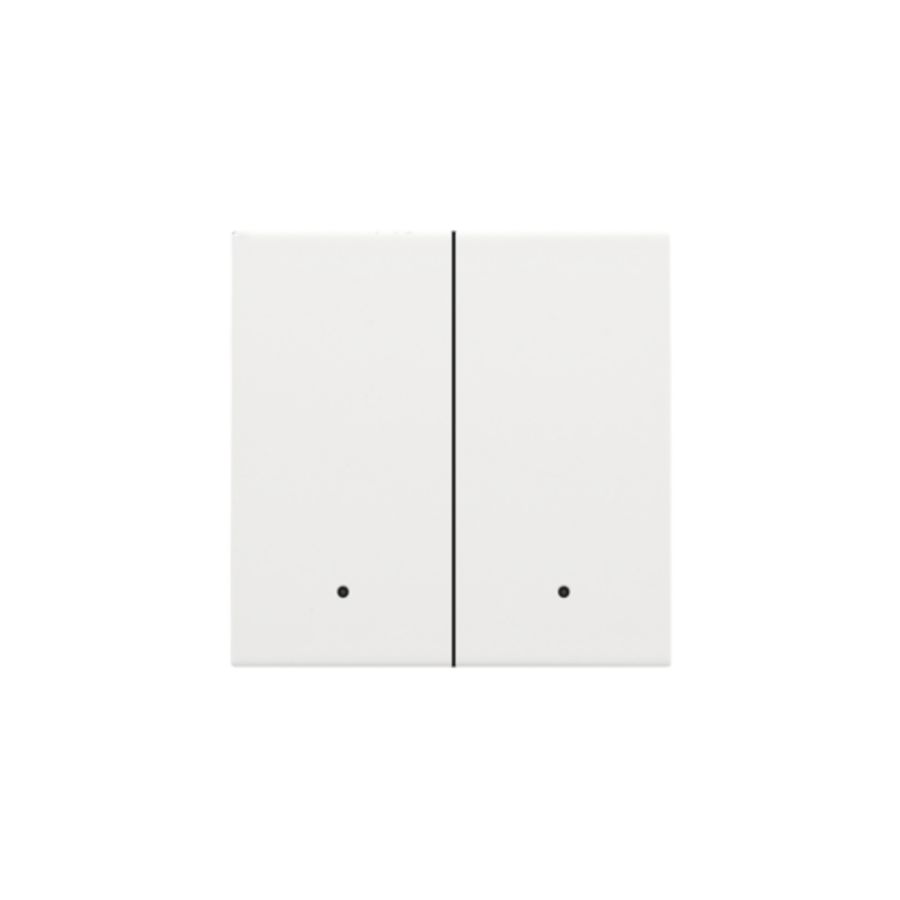 Afwerkingsset lens dubbele elektr. schakelaar/knop white c.