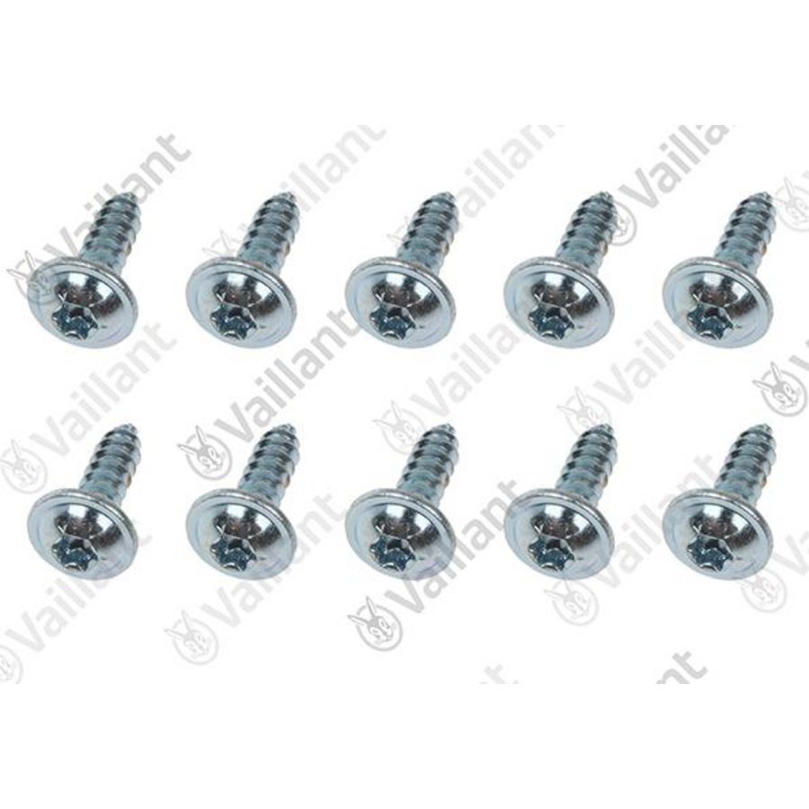 Set a 10st. Schroef mag 11-14-2/0 108542