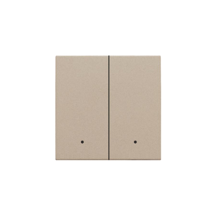 Afwerkingsset lens dubbele elektr. schakelaar/knop champagne