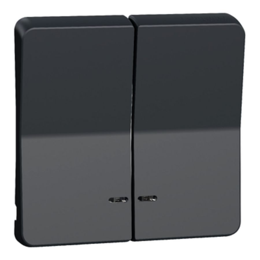 Inzetstuk Dubbele wip Controlevenster IP55 Grijs Mureva Styl