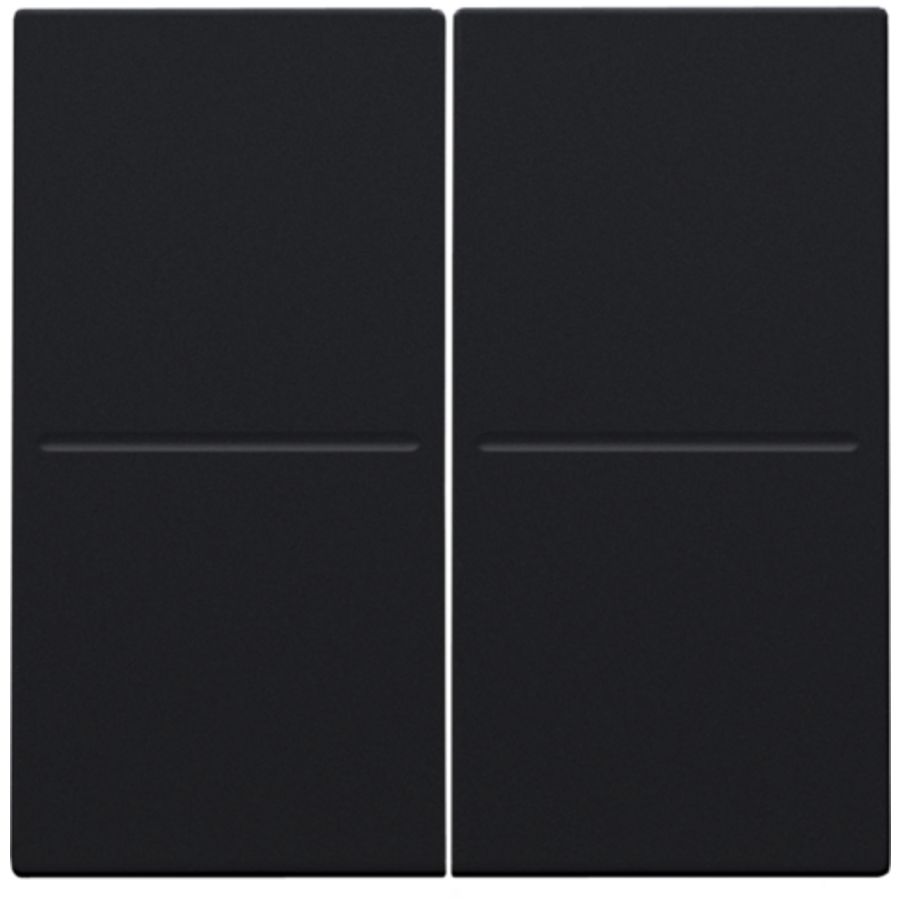 2-voudige toets RF dimschakelaar Hue BT EnOcean KNX black