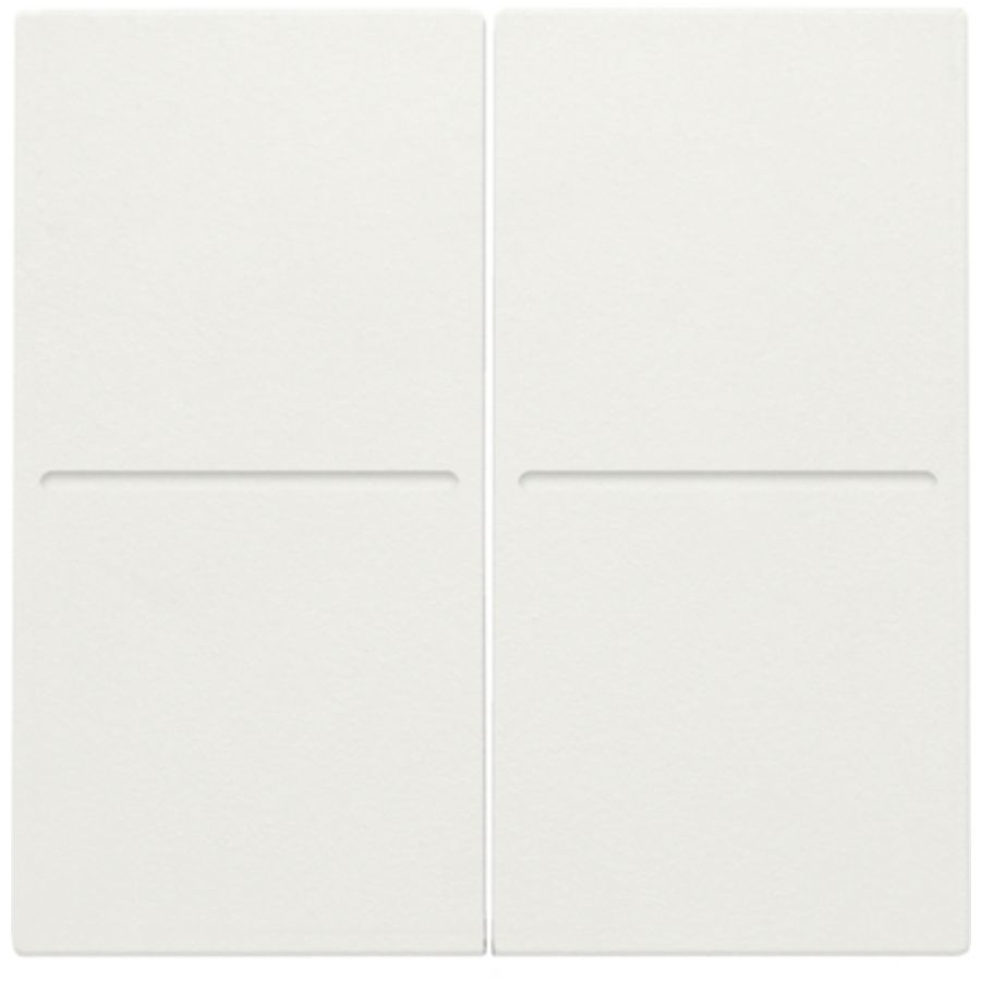 2-voudige toets RF dimschakelaar Hue BT EnOcean KNX white