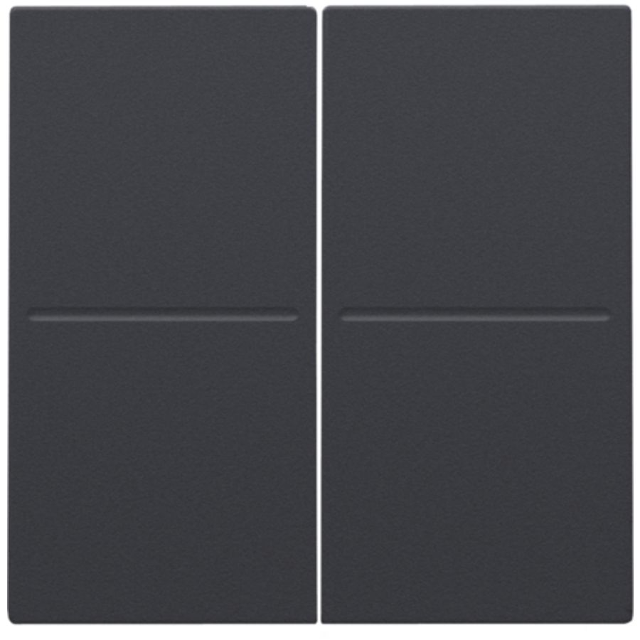 2-voudige toets RF dimschakelaar Hue BT EnOcean KNX anthrac