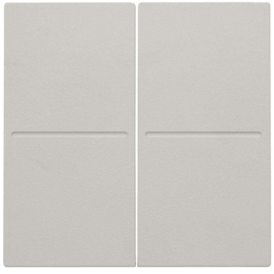 2-voudige toets RF dimschakelaar Hue BT EnOcean KNX l.grey