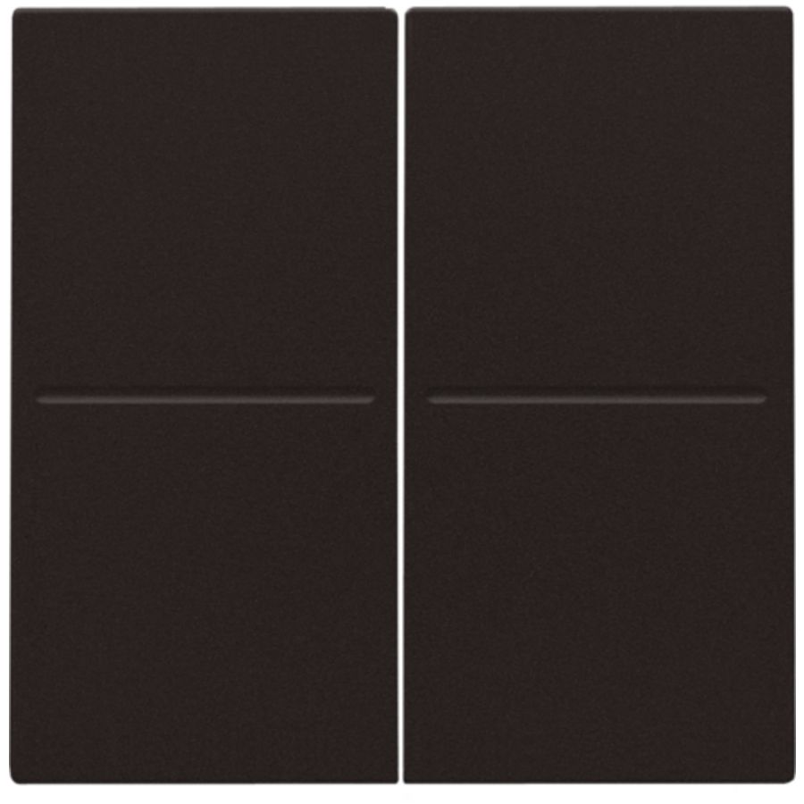 2-voudige toets RF dimschakelaar Hue BT EnOcean KNX d.brown