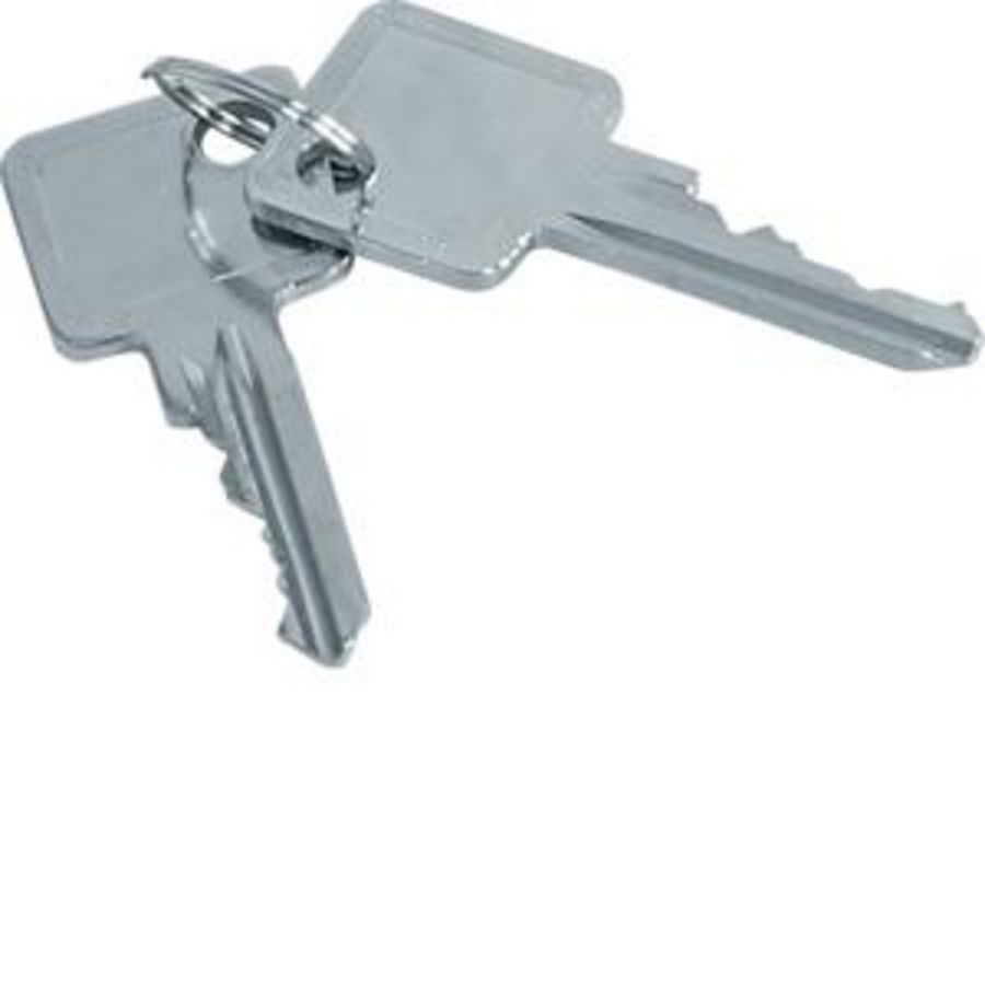 Doos a 2st. Sleutels voor profielhalfcilinder ZAY50994
