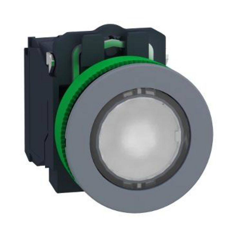 FLUSH WHITE CAP IPB LED 24 1NO 1NC SCR