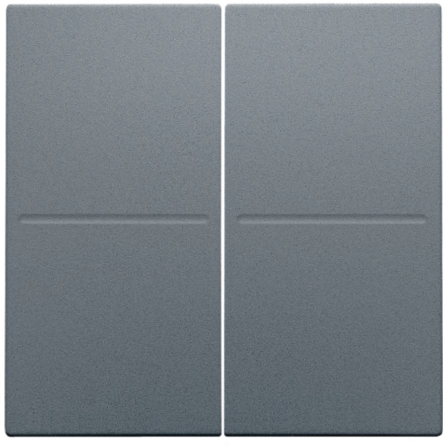 2-voudige toets RF dimschakelaar Hue BT EnOcean KNX blue gr