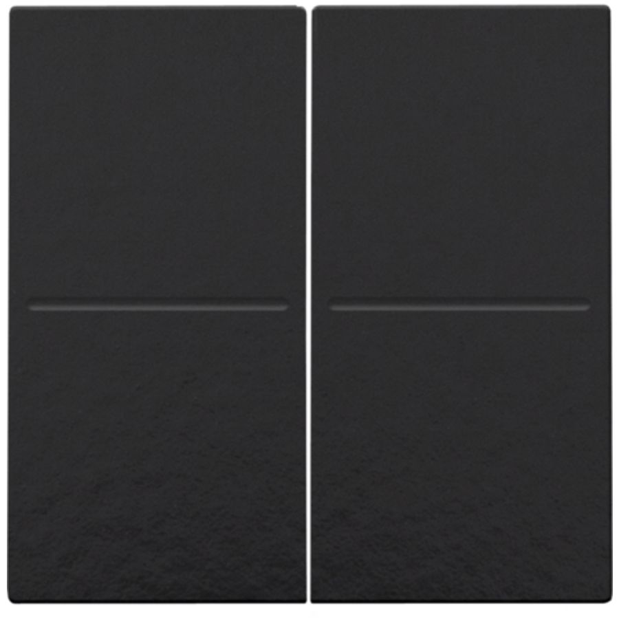 2-voudige toets RF dimschakelaar Hue BT EnOcean KNX pianobl