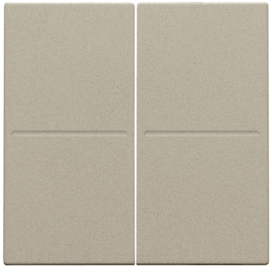 2-voudige toets RF dimschakelaar Hue BT EnOcean KNX champang