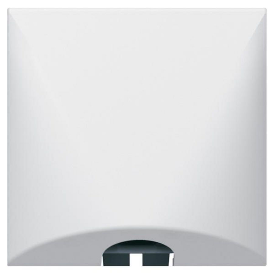 Kabeluitgang 20A 2 modulen Mosaic VVE=10