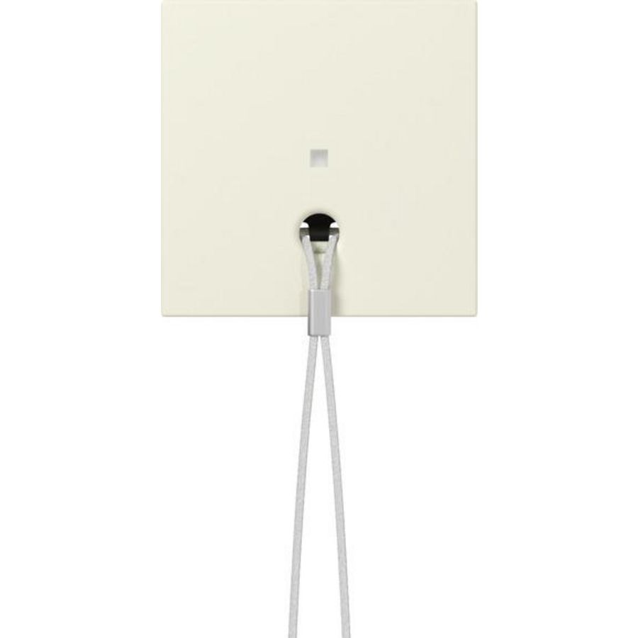 Afdekking ctrl.v. trekschakelaarSystem 55 creme wit