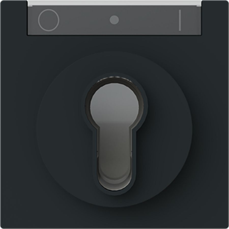 Centraalplaat slot art-matzwart (1755 SL/PZ-45M)