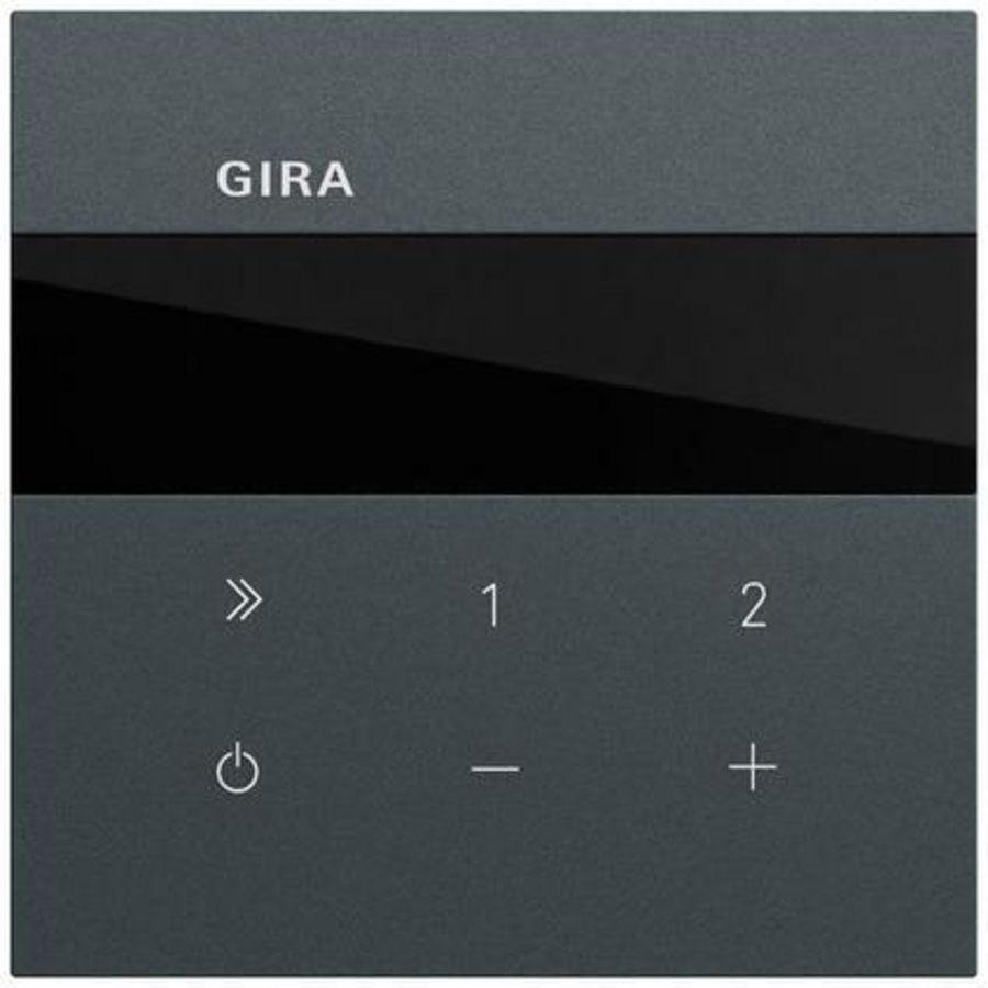 Inbouwradio IP System 70 antracit(gel.)
