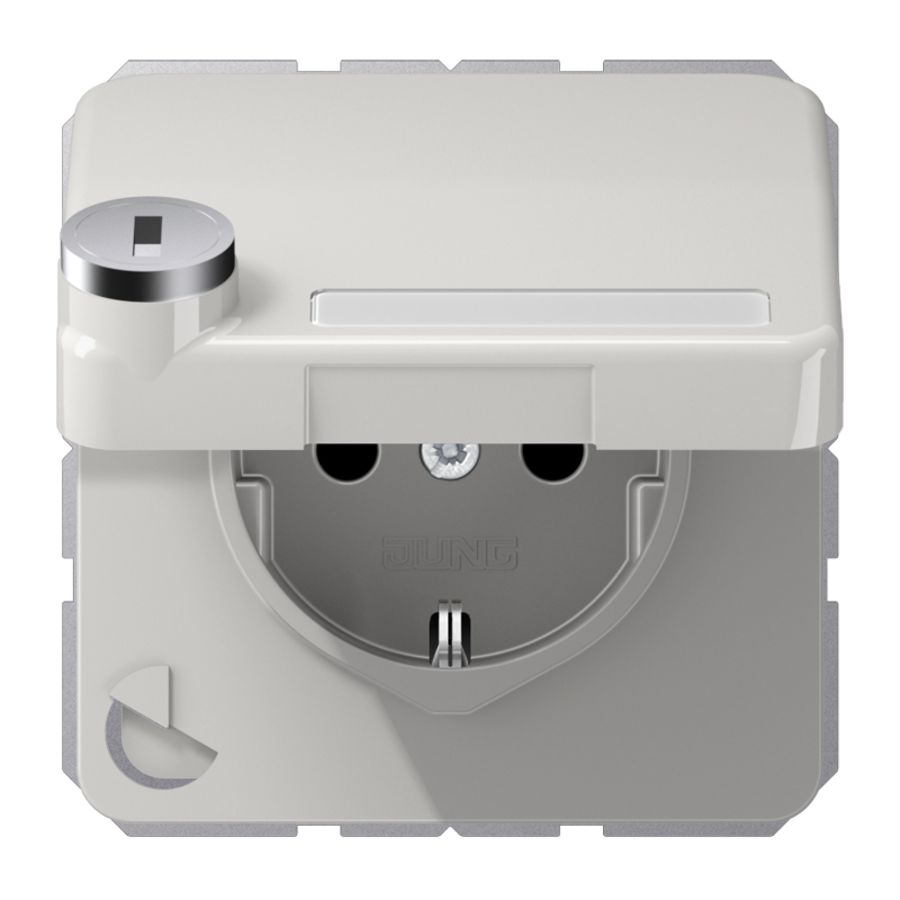 Wandcontactdoos CD500 li.gr.klapd. tekstvenst. slot