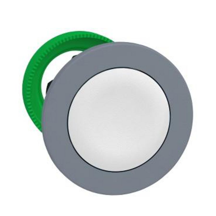 FLUSH MOUNTED WHITE FLUSH CAPS PUSHBUTTO
