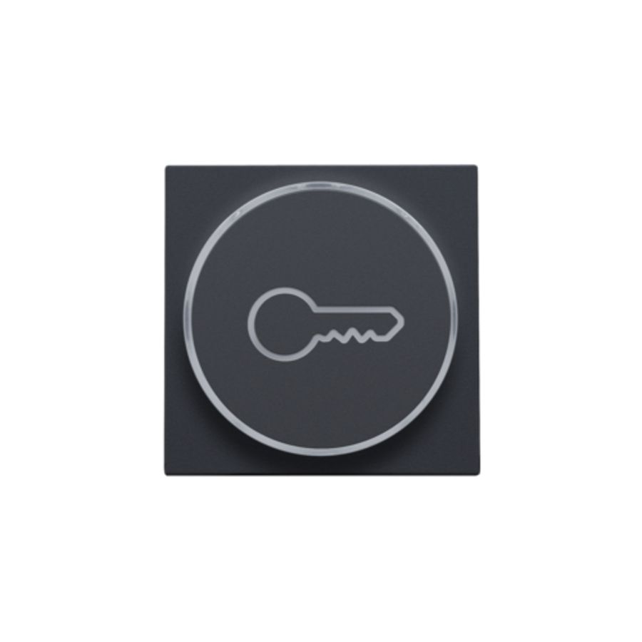 Afwerkingsset doorschijnende ring sleutelsymb. 6A antracite