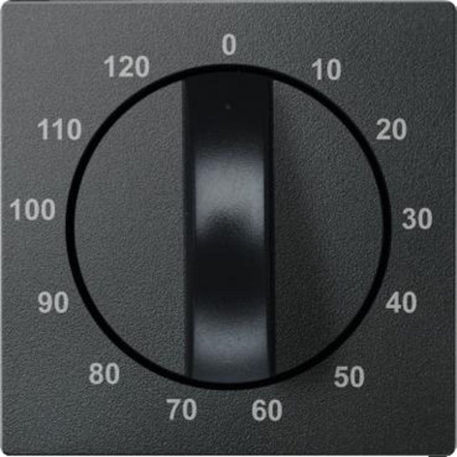 Centraalplaat de 120 min. tijdschakelaar Antraciet Systeem M