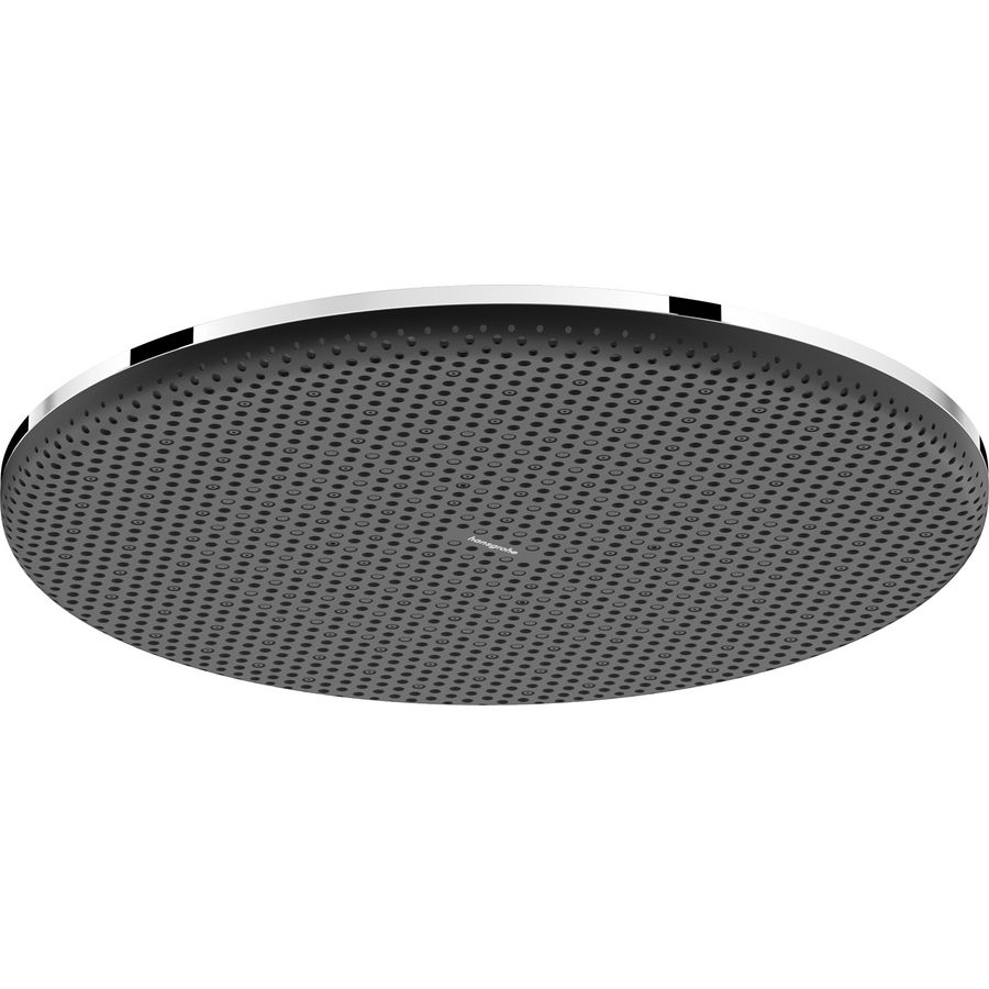 Hoofddouche Raindance Alive S 300mm 1 straalsoort EcoSmart chroom