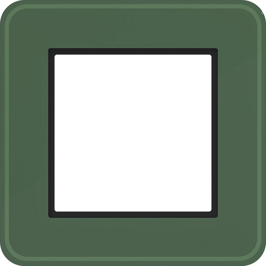 LED-afdekraam 1-voudig, C.8, forest glass, matglas