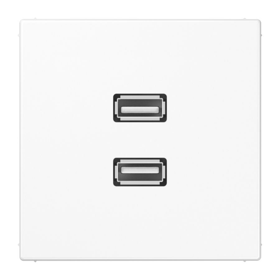 Afdekking alpin wit voor 2xUSB LS990