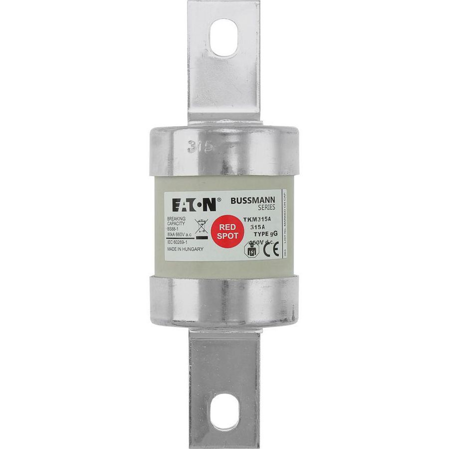 Zekering laagspanning 315A AC 660V DC 460V BS88 53x160mm